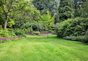 Optimiser l'expérience du jardin à Genevrey